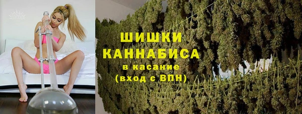 ПСИЛОЦИБИНОВЫЕ ГРИБЫ Лабытнанги