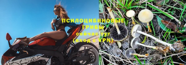ПСИЛОЦИБИНОВЫЕ ГРИБЫ Лабытнанги