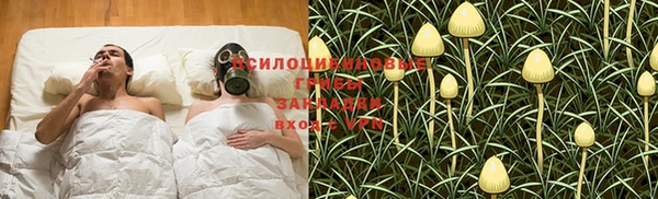 дживик Кулебаки