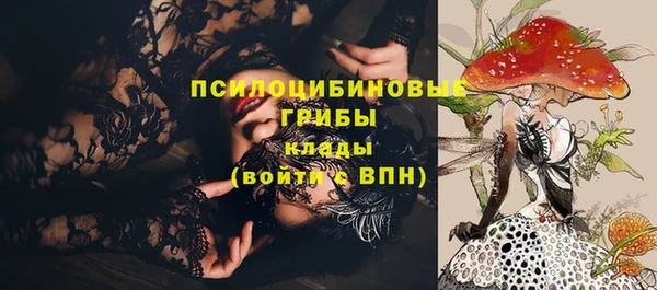 ешки Кукмор