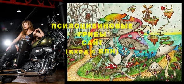ПСИЛОЦИБИНОВЫЕ ГРИБЫ Лабытнанги
