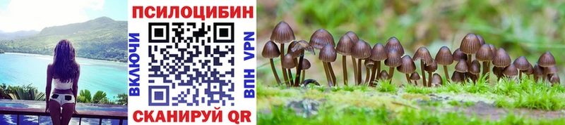 Галлюциногенные грибы MAGIC MUSHROOMS  закладка  Олёкминск 